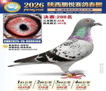 陕西朋悦决赛288名