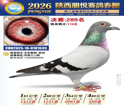 陕西朋悦决赛289名