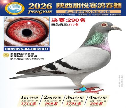 陕西朋悦决赛290名