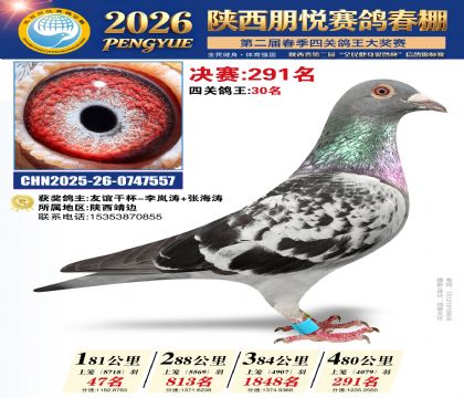 陕西朋悦决赛291名