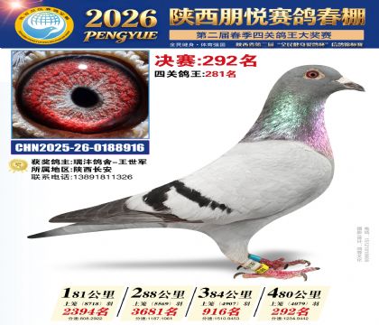 陕西朋悦决赛292名