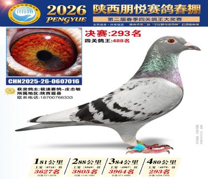 陕西朋悦决赛293名