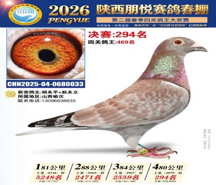 陕西朋悦决赛294名