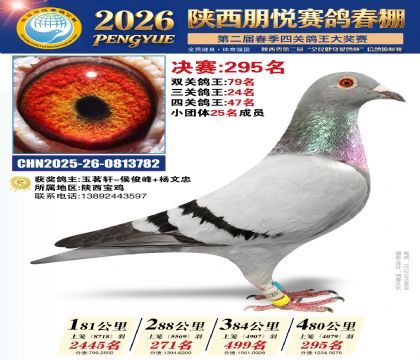 陕西朋悦决赛295名