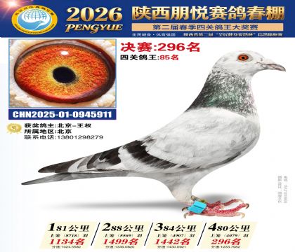 陕西朋悦决赛296名