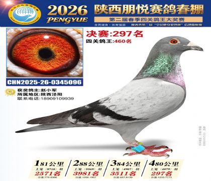 陕西朋悦决赛297名