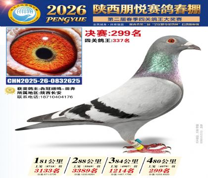 陕西朋悦决赛299名