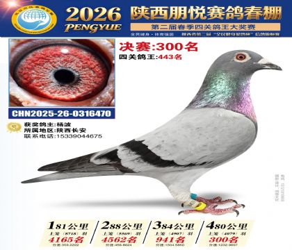 陕西朋悦决赛300名