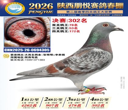 陕西朋悦决赛302名