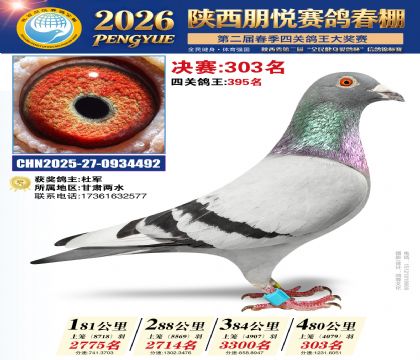 陕西朋悦决赛303名