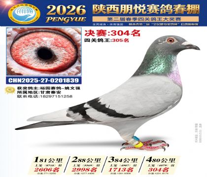陕西朋悦决赛304名