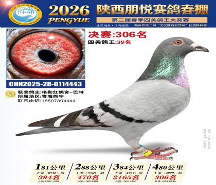陕西朋悦决赛306名