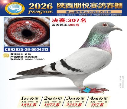陕西朋悦决赛307名