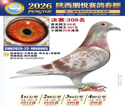 陕西朋悦决赛308名