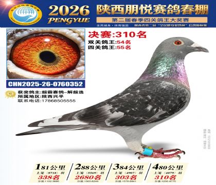 陕西朋悦决赛310名