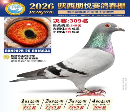 陕西朋悦决赛309名