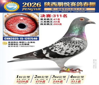 陕西朋悦决赛311名