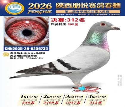 陕西朋悦决赛312名