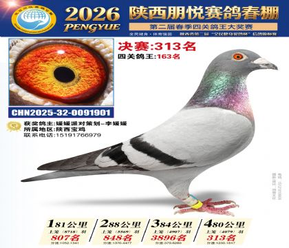 陕西朋悦决赛313名