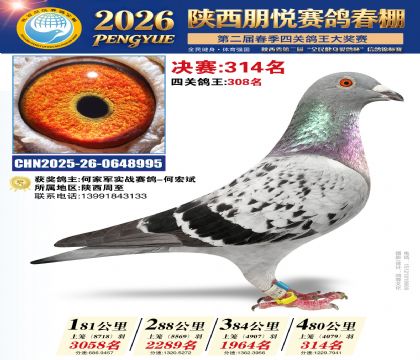 陕西朋悦决赛314名