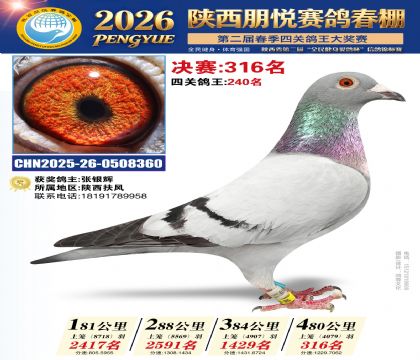 陕西朋悦决赛316名