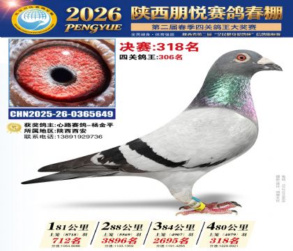 陕西朋悦决赛318名