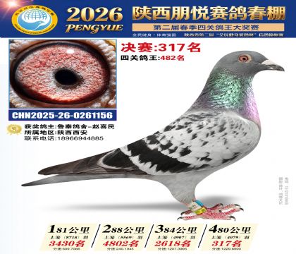 陕西朋悦决赛317名
