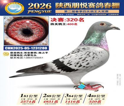 陕西朋悦决赛320名