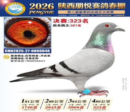 陕西朋悦决赛323名