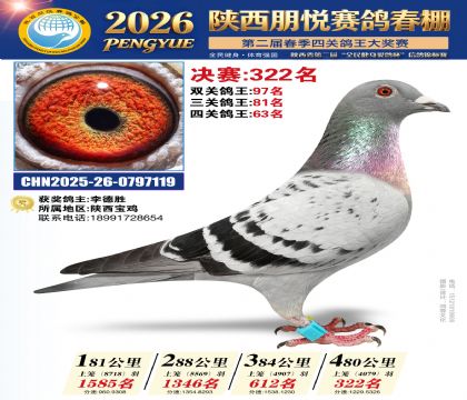 陕西朋悦决赛322名