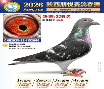 陕西朋悦决赛325名