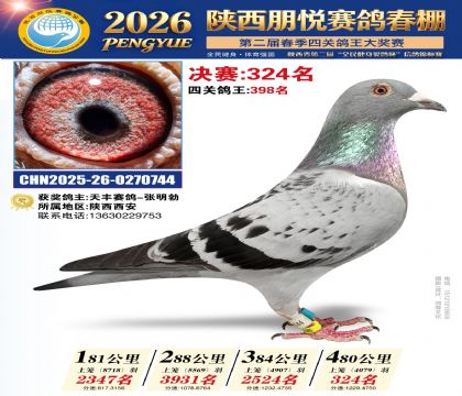 陕西朋悦决赛324名