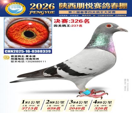 陕西朋悦决赛326名