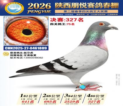 陕西朋悦决赛327名
