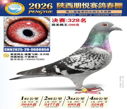 陕西朋悦决赛328名