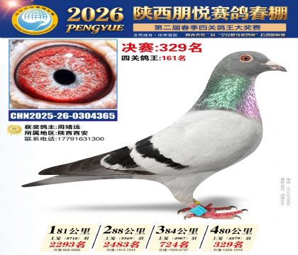 陕西朋悦决赛329名