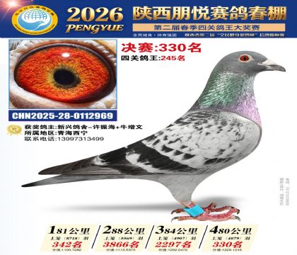 陕西朋悦决赛330名