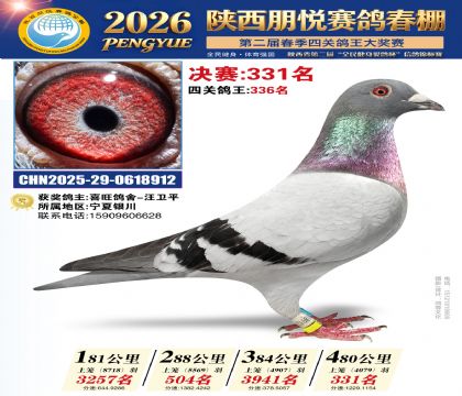 陕西朋悦决赛331名
