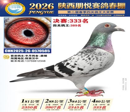 陕西朋悦决赛333名