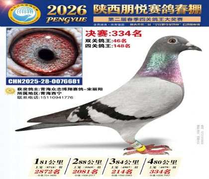 陕西朋悦决赛334名