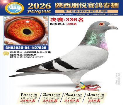 陕西朋悦决赛336名