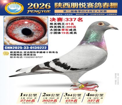 陕西朋悦决赛337名