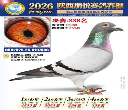 陕西朋悦决赛338名