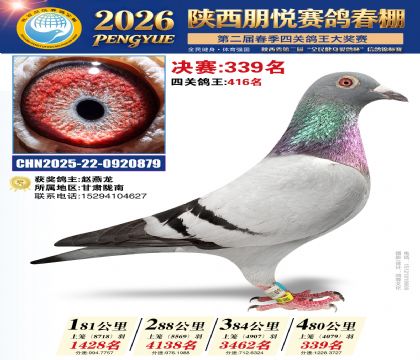 陕西朋悦决赛339名