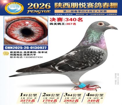 陕西朋悦决赛340名