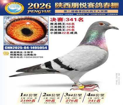 陕西朋悦决赛341名