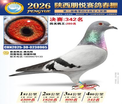 陕西朋悦决赛342名