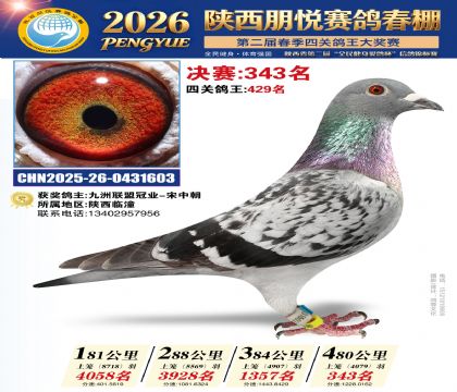 陕西朋悦决赛343名