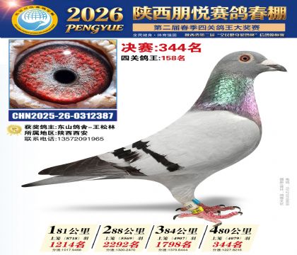 陕西朋悦决赛344名