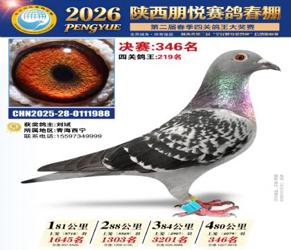 陕西朋悦决赛346名